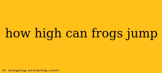 how high can frogs jump