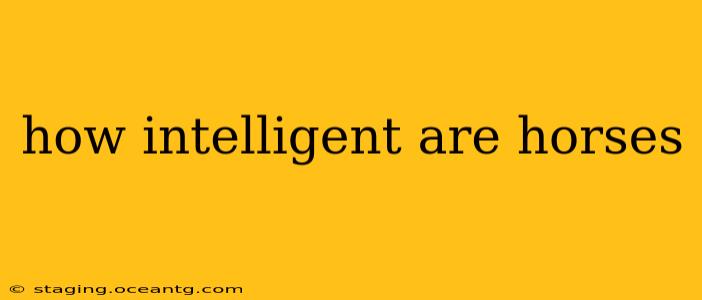 how intelligent are horses