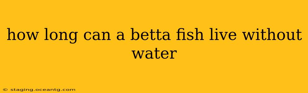 how long can a betta fish live without water