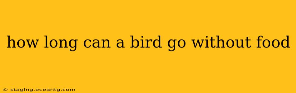 how long can a bird go without food