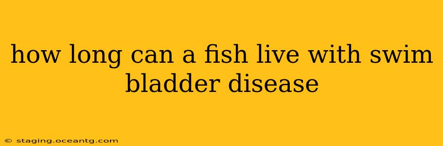 how long can a fish live with swim bladder disease