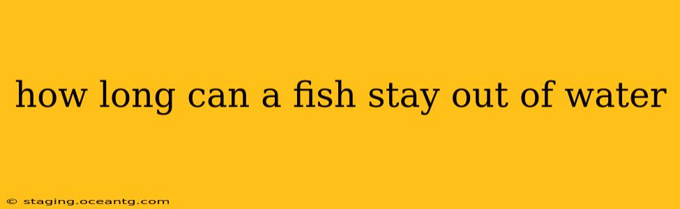 how long can a fish stay out of water