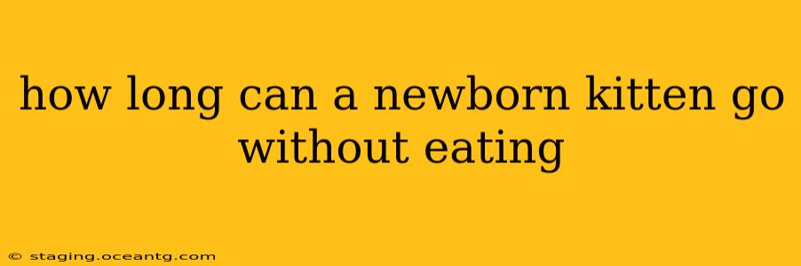 how long can a newborn kitten go without eating