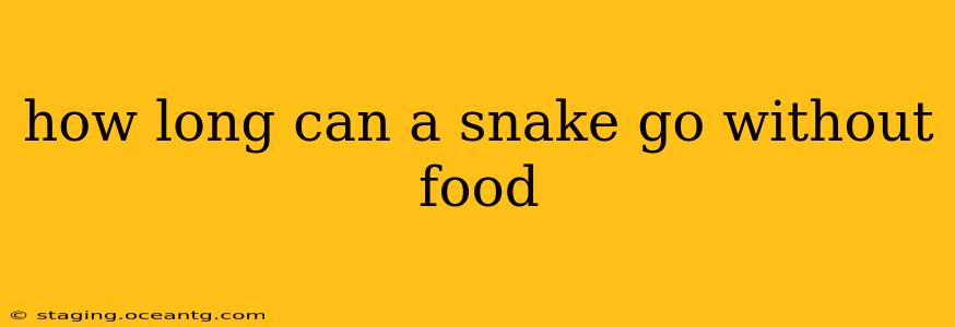 how long can a snake go without food