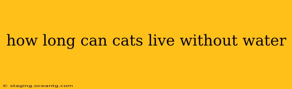 how long can cats live without water