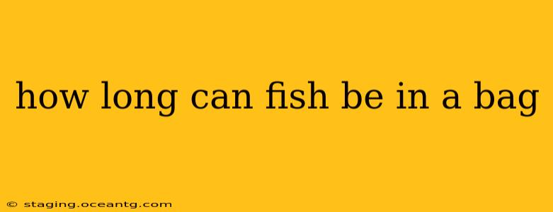 how long can fish be in a bag