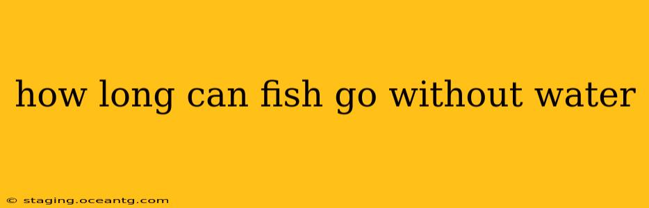 how long can fish go without water