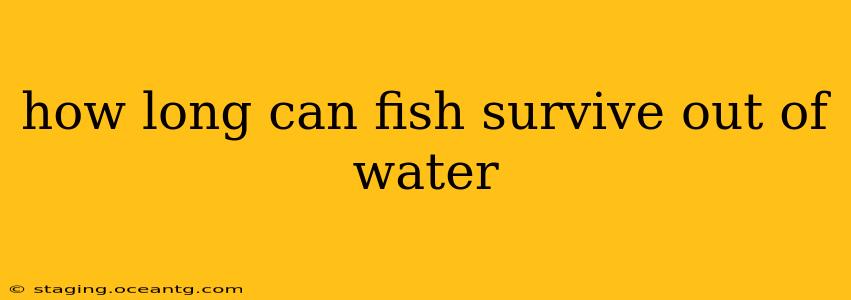 how long can fish survive out of water