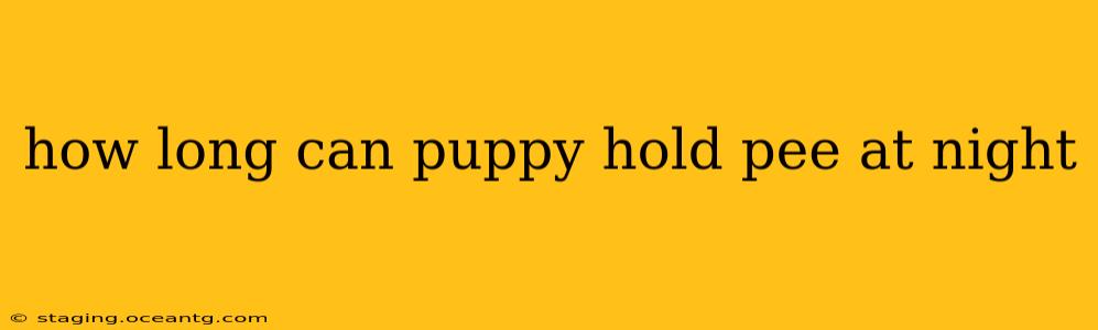 how long can puppy hold pee at night