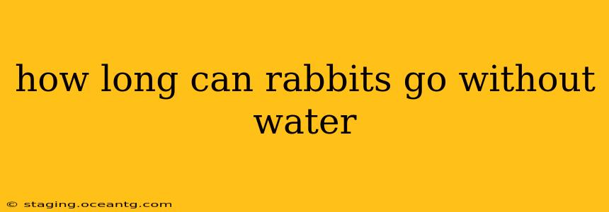 how long can rabbits go without water