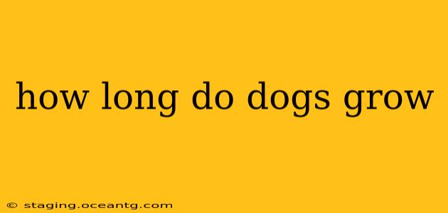 how long do dogs grow
