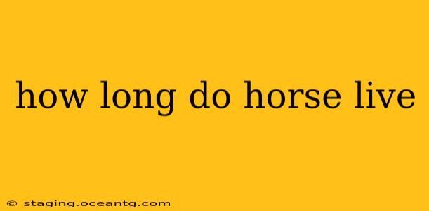 how long do horse live