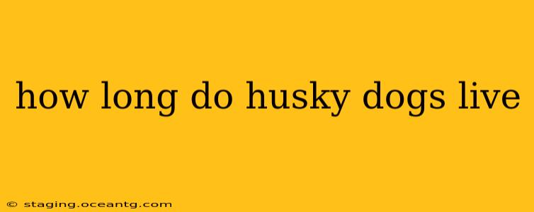 how long do husky dogs live