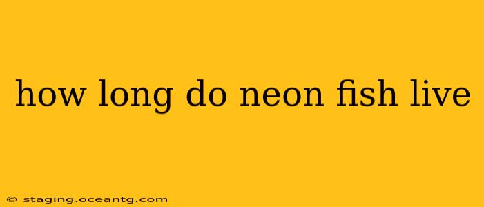 how long do neon fish live