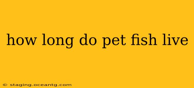 how long do pet fish live