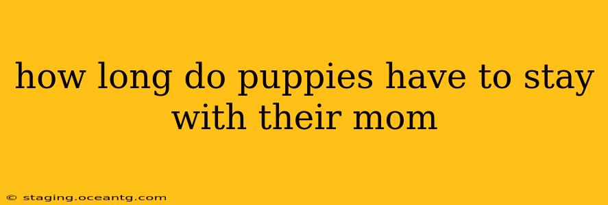 how long do puppies have to stay with their mom