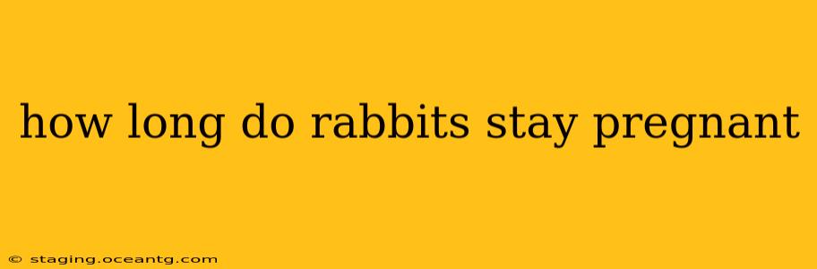 how long do rabbits stay pregnant