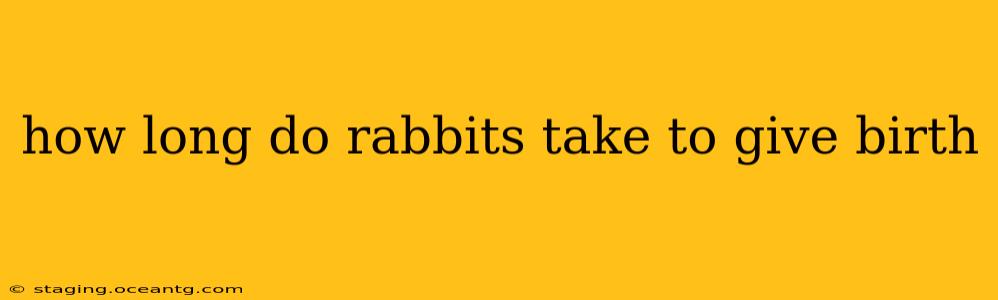 how long do rabbits take to give birth