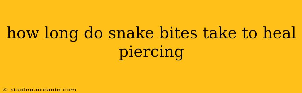 how long do snake bites take to heal piercing