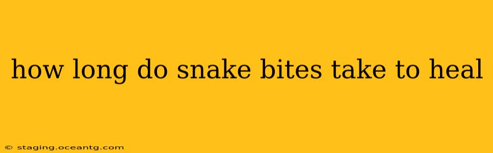 how long do snake bites take to heal