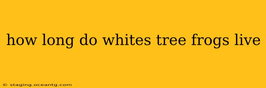 how long do whites tree frogs live