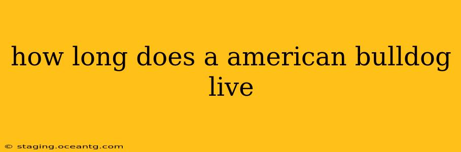 how long does a american bulldog live