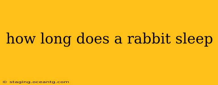 how long does a rabbit sleep