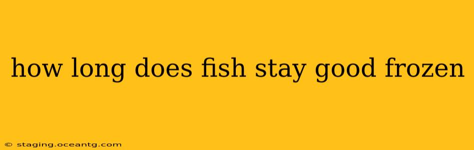 how long does fish stay good frozen