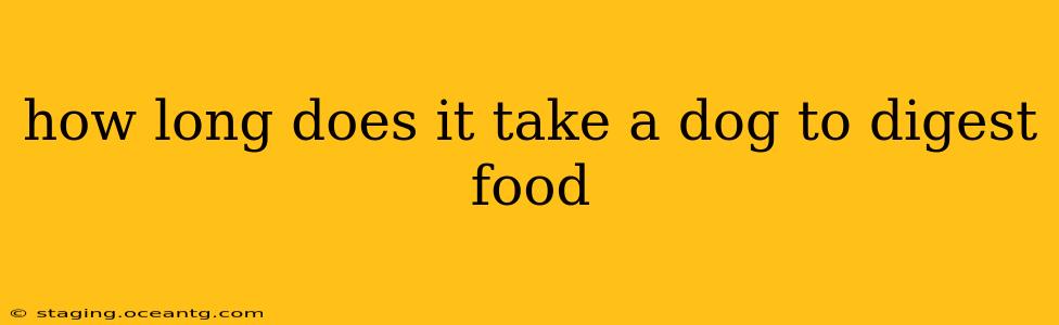 how long does it take a dog to digest food