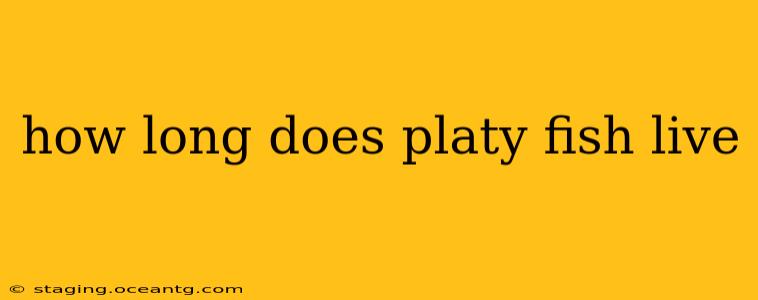 how long does platy fish live