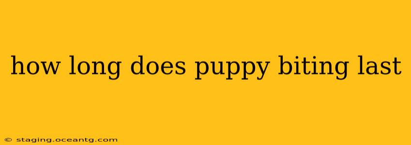 how long does puppy biting last