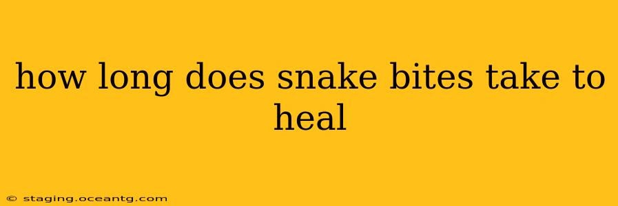 how long does snake bites take to heal