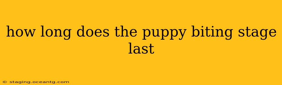 how long does the puppy biting stage last