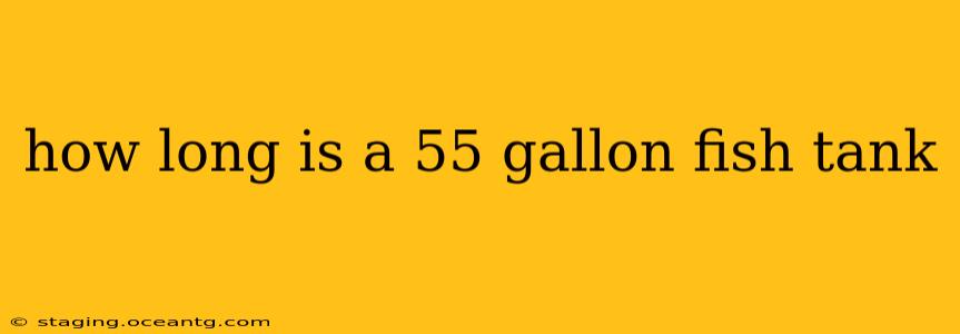 how long is a 55 gallon fish tank