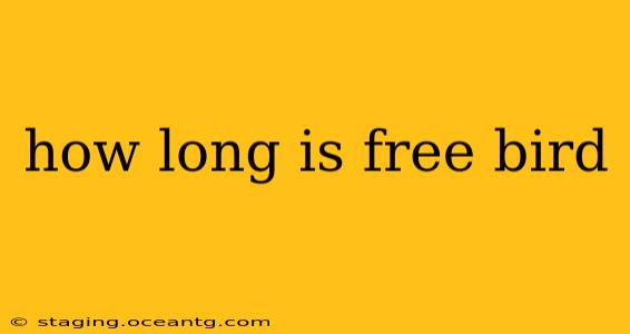 how long is free bird