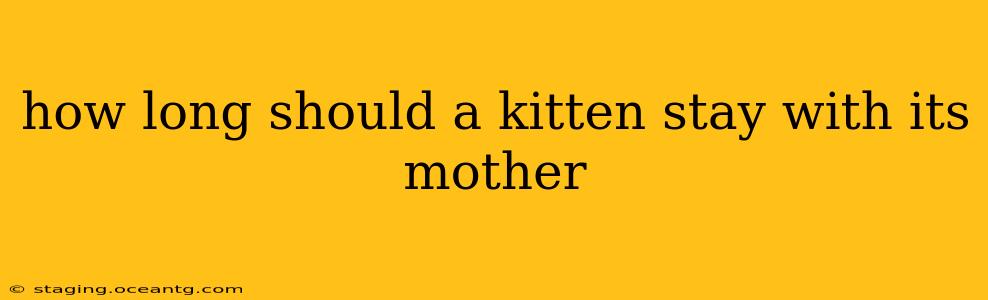 how long should a kitten stay with its mother