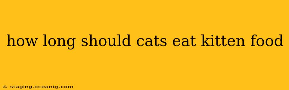 how long should cats eat kitten food