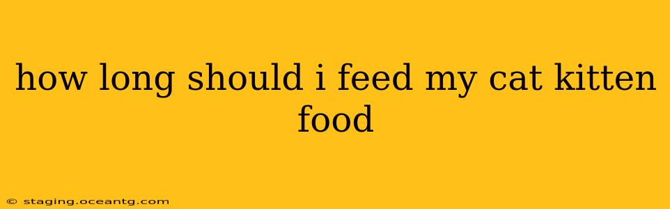 how long should i feed my cat kitten food