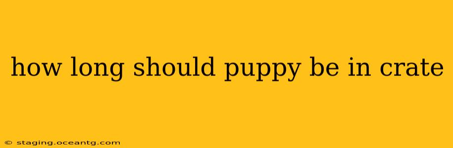 how long should puppy be in crate