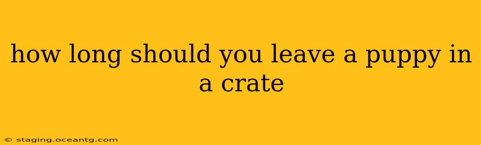 how long should you leave a puppy in a crate