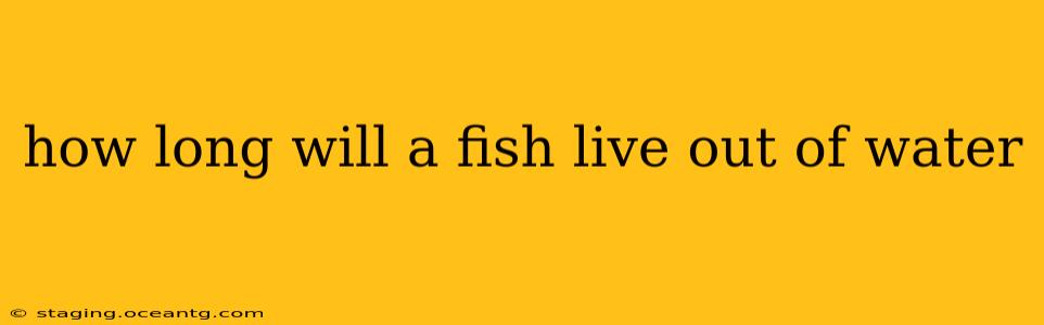 how long will a fish live out of water