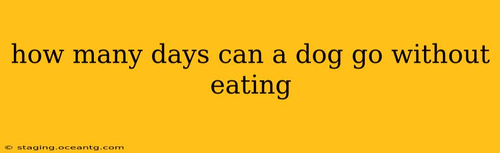 how many days can a dog go without eating