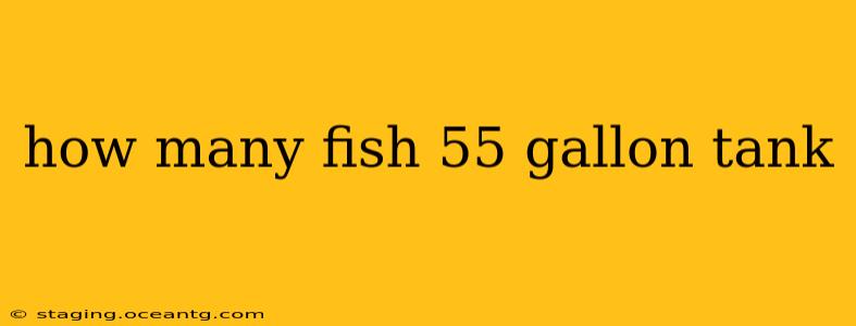 how many fish 55 gallon tank