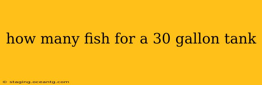 how many fish for a 30 gallon tank