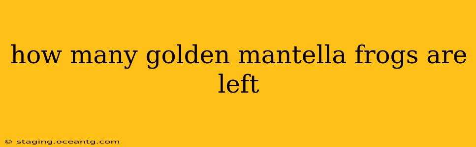 how many golden mantella frogs are left
