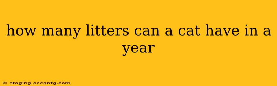 how many litters can a cat have in a year