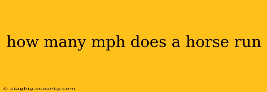 how many mph does a horse run