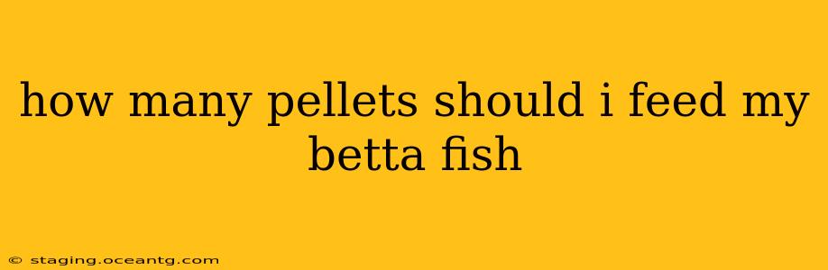 how many pellets should i feed my betta fish