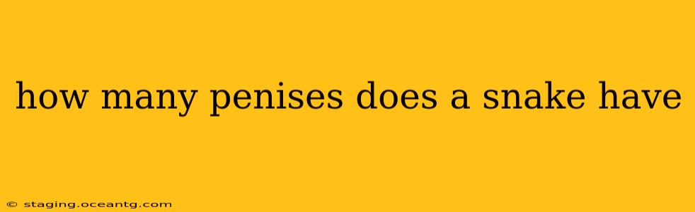 how many penises does a snake have