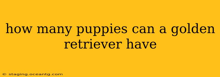 how many puppies can a golden retriever have